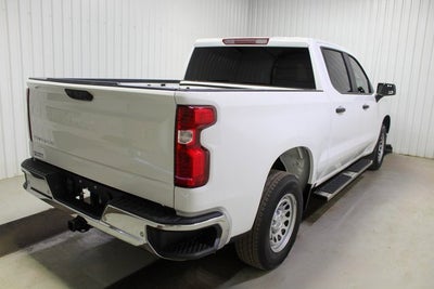 2024 Chevrolet Silverado 1500 WT